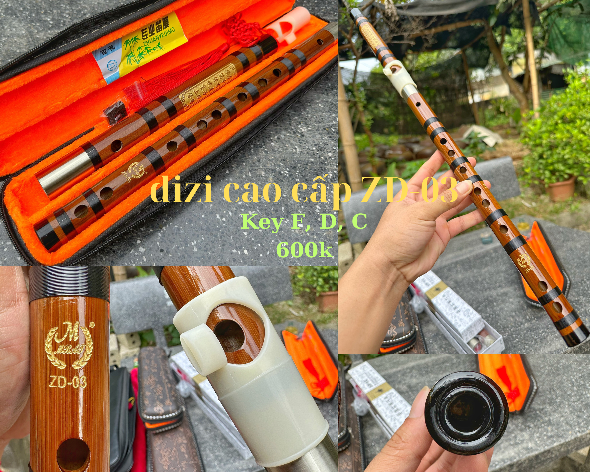  Dizi khớp kép cao cấp ZD - 03
