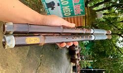  Mèo kép trúc tím