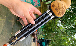  Bầu thật thân gỗ mun cao cấp