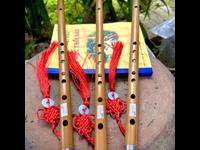  Sáo HD5 bọc inox 2 đầu