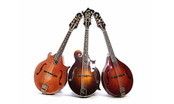  Mandolin M1