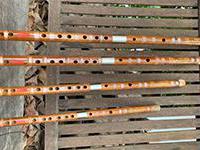  Dizi dongmin khớp kép inox cao cấp