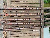  Đông tiêu trúc tím 2 khúc