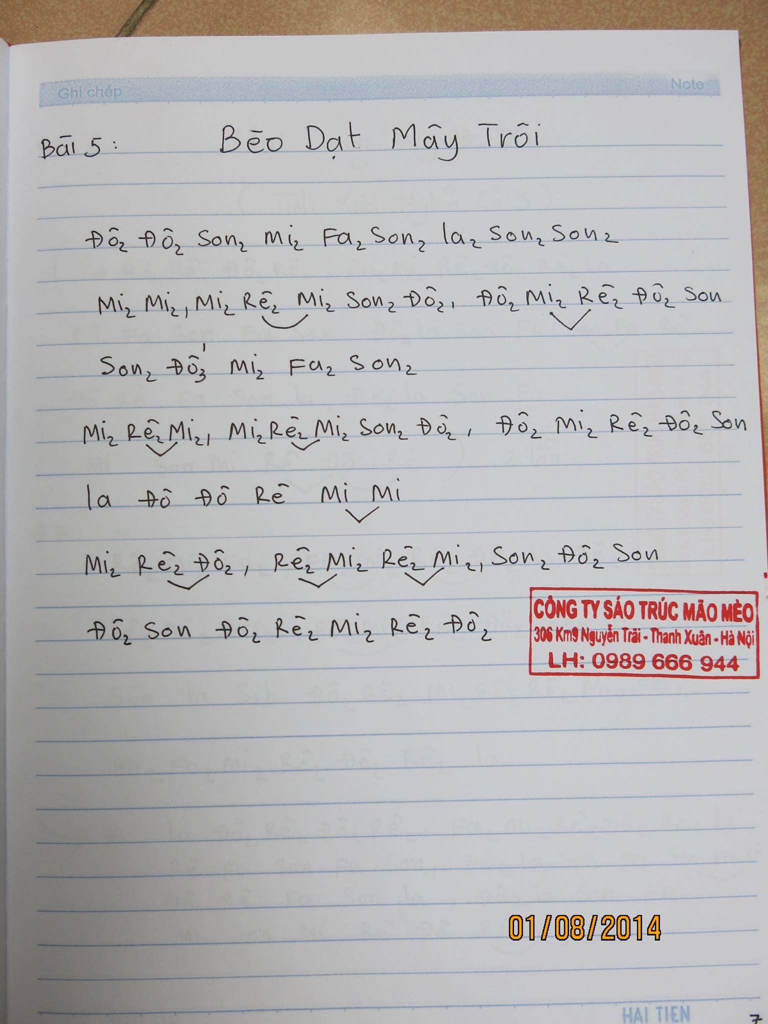 Cảm âm sáo trúc bài Bèo dạt mây trôi