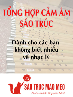 Cảm âm tiêu sáo Mão Mèo