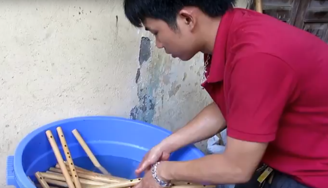 xử lý mối mọt