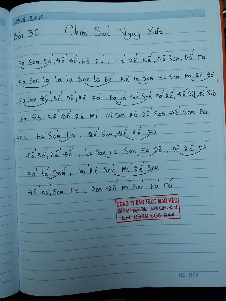 Cảm âm sáo trúc bài Chim sáo mồ côi